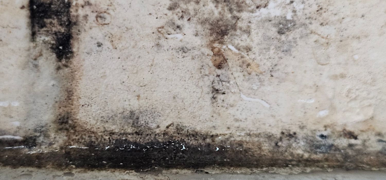 Best Water Damage Restoration Options for Oregon City Homes