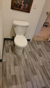 A toilet in a bathroom with wood floors.