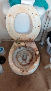 Dirty old toilet